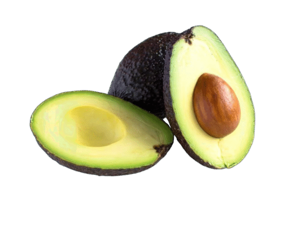 Untitled design - 2025-11-25T160907.455