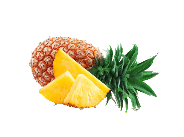 Untitled design - 2025-11-25T161526.495