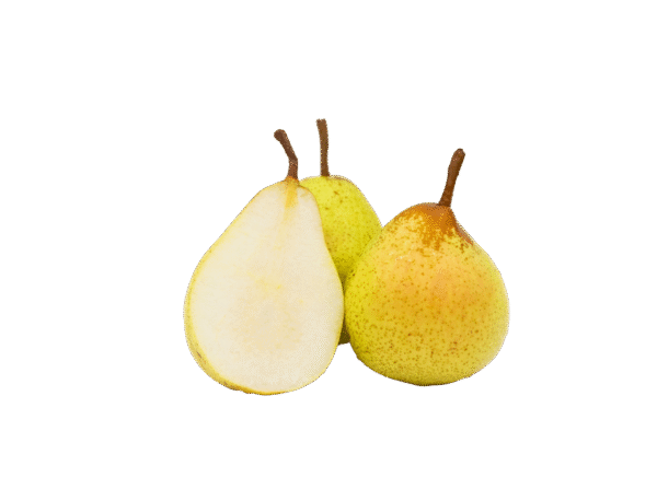 Untitled design - 2025-11-25T172025.593