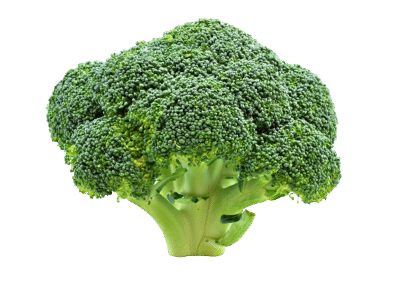 Untitled design - 2025-11-27T161113.438