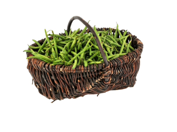 Untitled design - 2025-11-27T161639.886