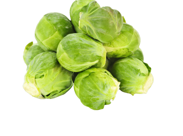 Untitled design - 2025-11-27T161727.217