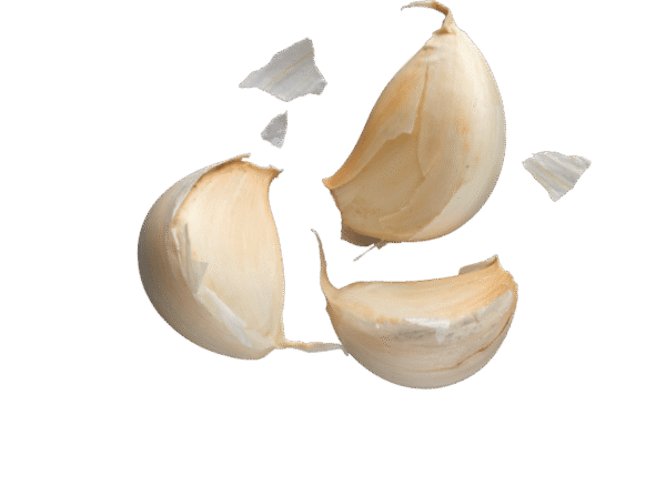 Untitled design - 2025-11-27T162025.699