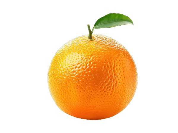 Untitled design - 2025-12-25T154011.272