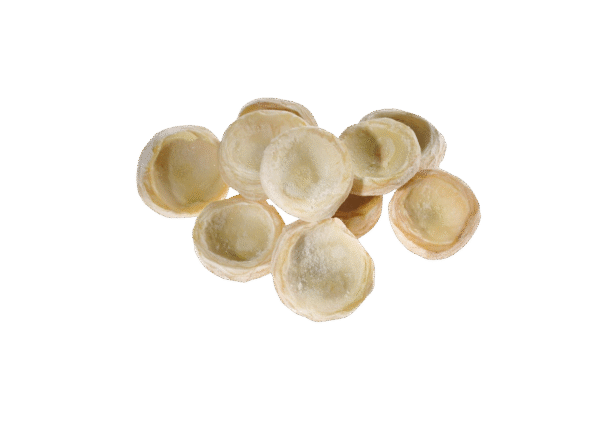 Untitled design - 2025-12-25T164601.399