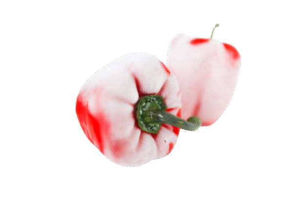 Untitled design - 2025-12-25T164838.125