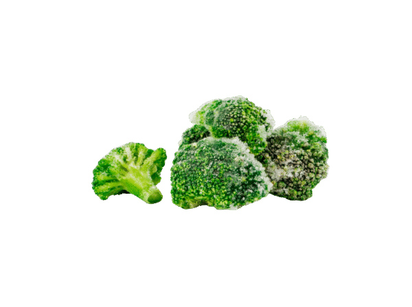 Untitled design - 2025-12-25T164958.953