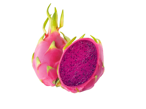 Untitled design - 2025-12-31T151310.048