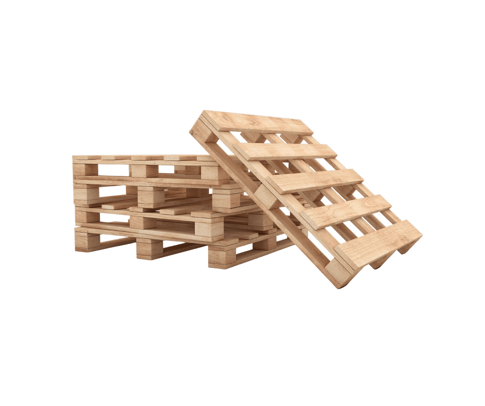 Untitled design - 2026-01-05T150444.703