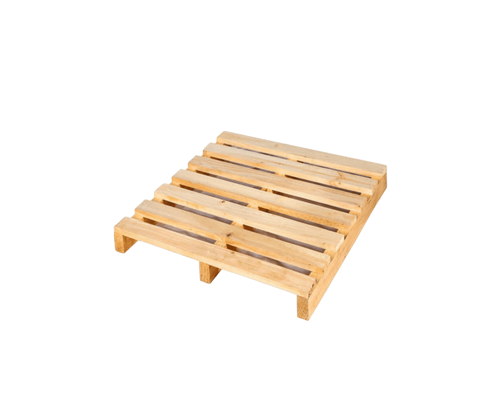 Untitled design - 2026-01-05T150519.753