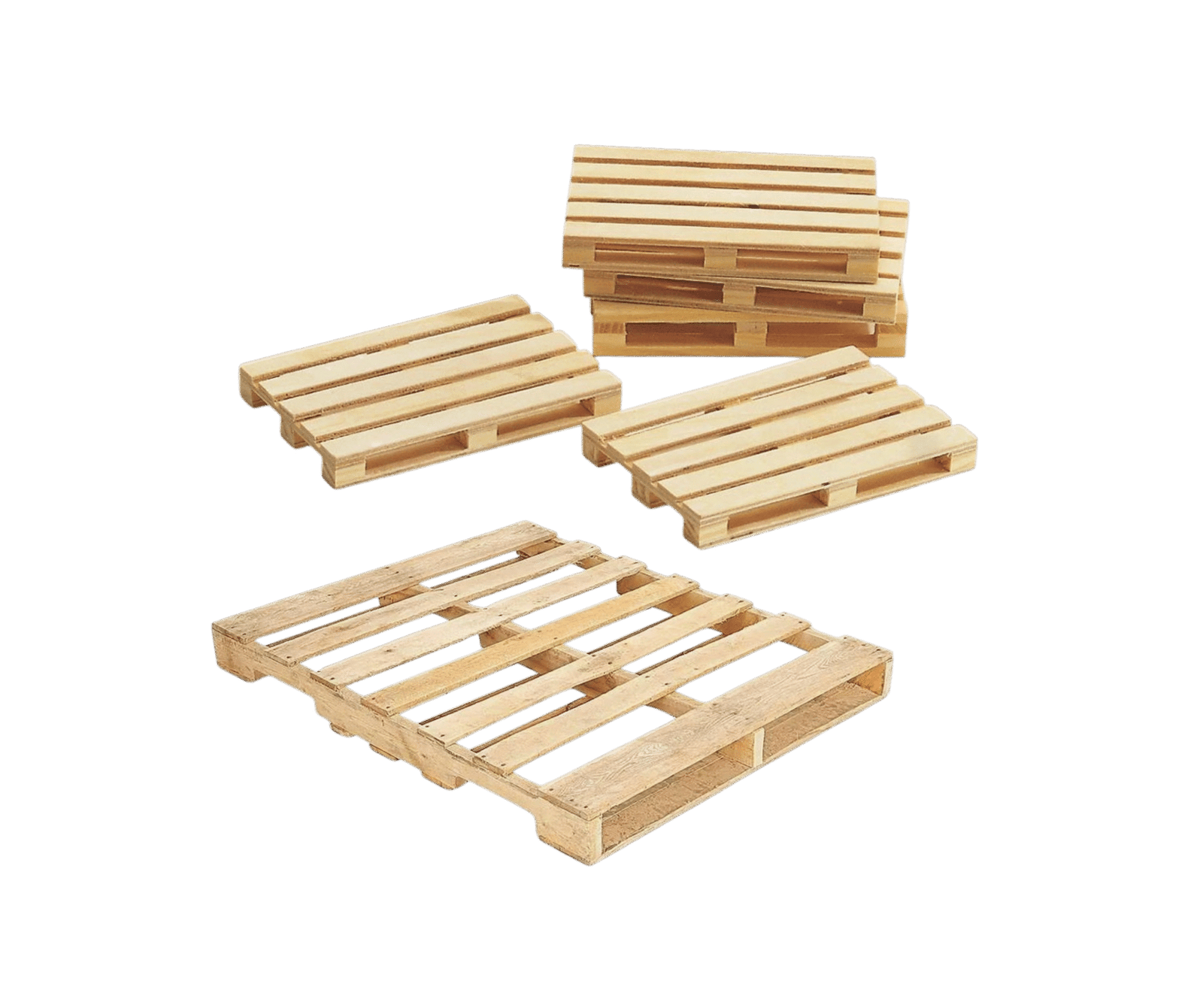 Untitled design - 2026-01-05T150855.108