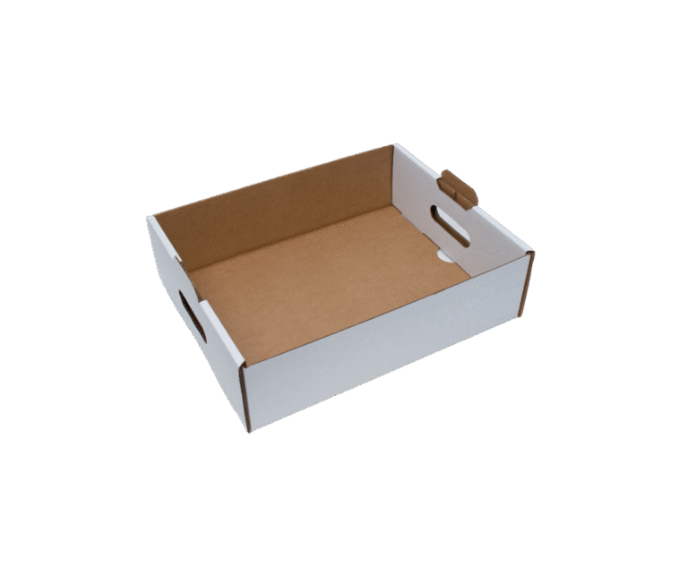 Untitled design - 2026-01-05T151214.115