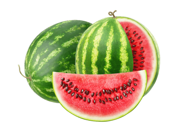 Untitled design - 2025-11-25T162030.927