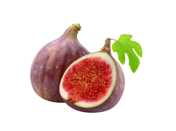 Untitled design - 2025-11-25T171831.748