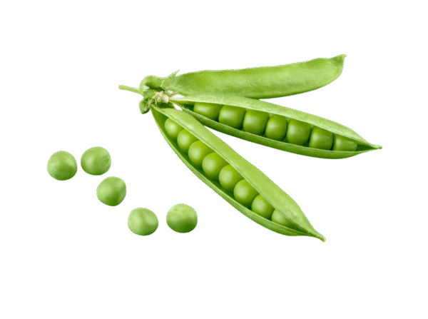 Untitled design - 2025-11-27T161513.119