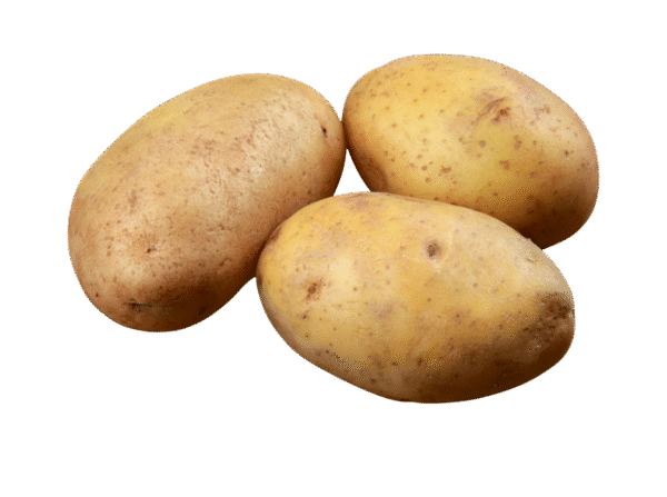 Untitled design - 2025-11-27T161800.992