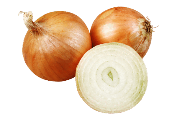 Untitled design - 2025-11-27T161847.119