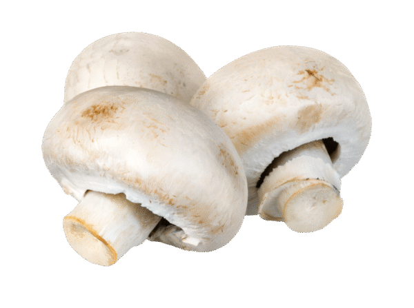 Untitled design - 2025-11-27T162616.403