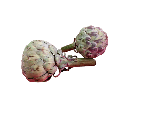 Untitled design - 2025-11-27T163057.620