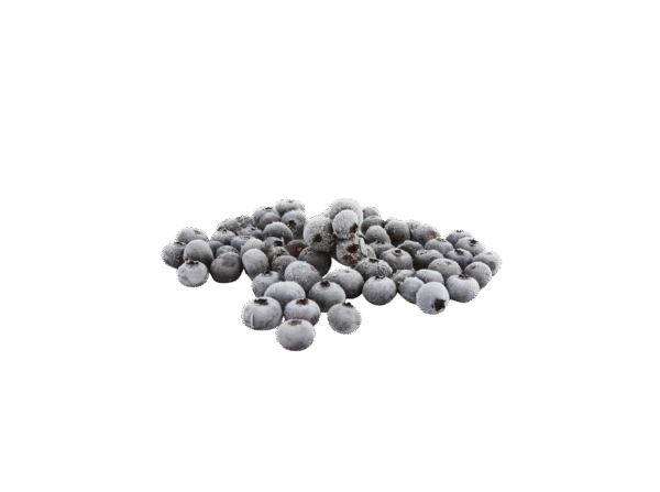 Untitled design - 2025-12-25T165631.049