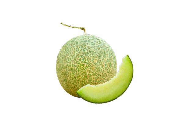 Untitled design - 2025-12-25T171016.115